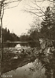 Remiremont - Etang du Xénois